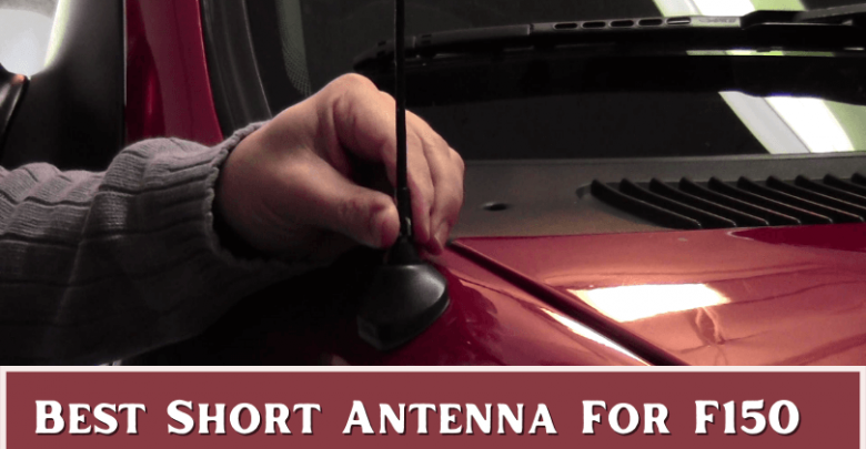 Best Short Antenna For F150